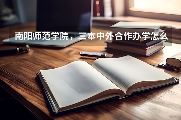 南阳师范学院，三本中外合作办学怎么样