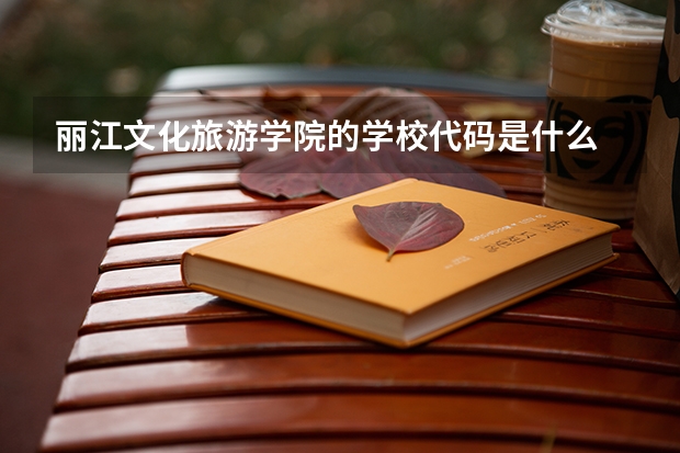 丽江文化旅游学院的学校代码是什么