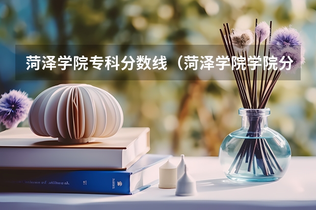 菏泽学院专科分数线（菏泽学院学院分数线）