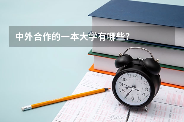 中外合作的一本大学有哪些？