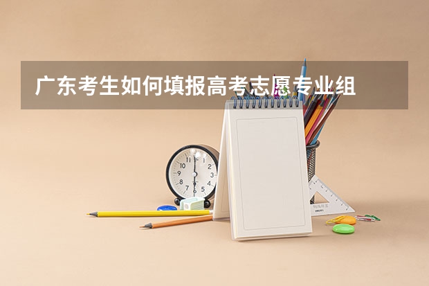 广东考生如何填报高考志愿专业组