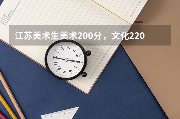 江苏美术生美术200分，文化220，能上什么学校？