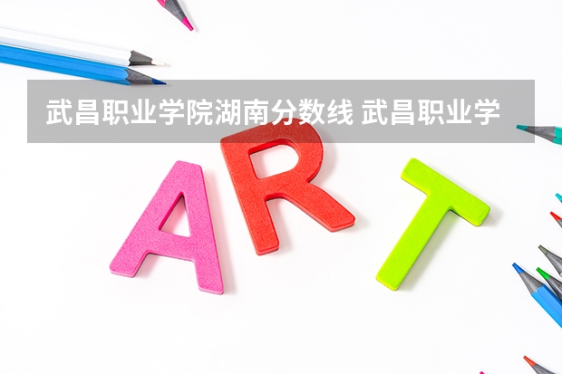 武昌职业学院湖南分数线 武昌职业学院录取分数线