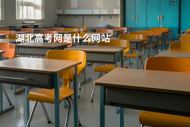 湖北高考网是什么网站