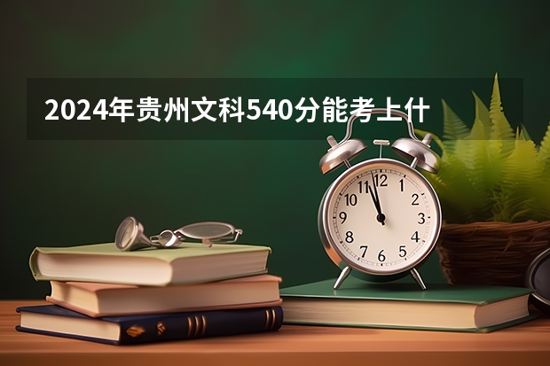 2024年贵州文科540分能考上什么大学?