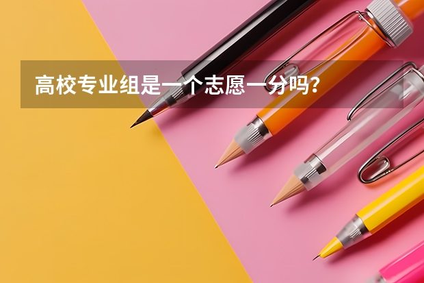 高校专业组是一个志愿一分吗？