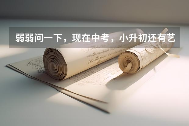 弱弱问一下,现在中考,小升初还有艺术特长加分一说吗