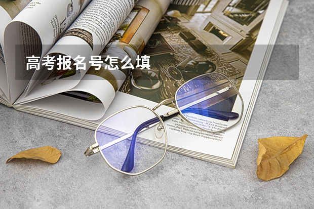 高考报名号怎么填