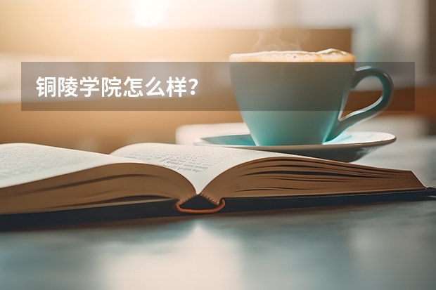 铜陵学院怎么样？