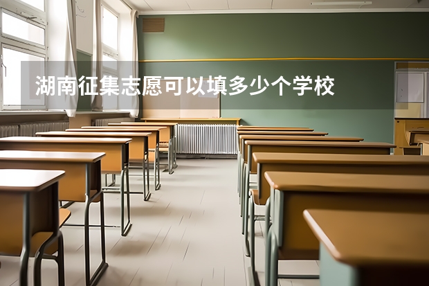 湖南征集志愿可以填多少个学校