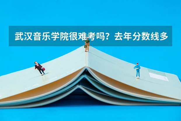 武汉音乐学院很难考吗？去年分数线多少？