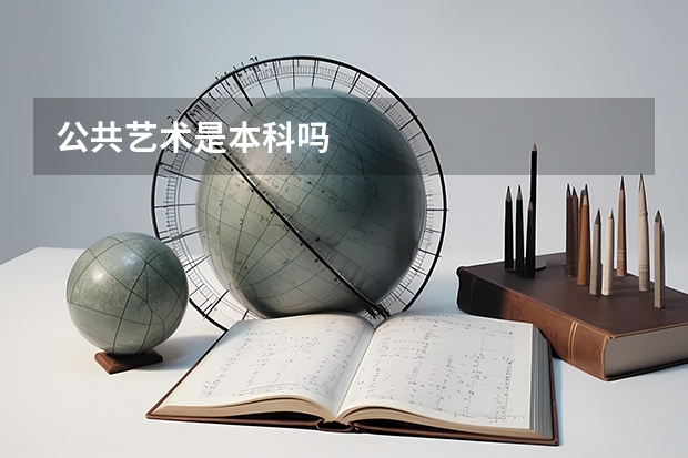 公共艺术是本科吗