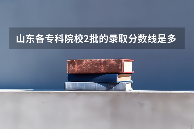 山东各专科院校2批的录取分数线是多少?