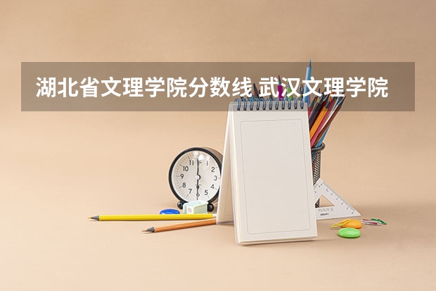 湖北省文理学院分数线 武汉文理学院艺术生分数线