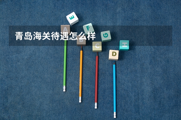 青岛海关待遇怎么样