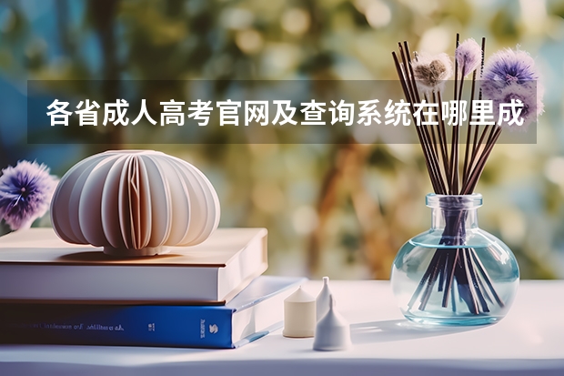 各省成人高考官网及查询系统在哪里成考报名入口及网址？