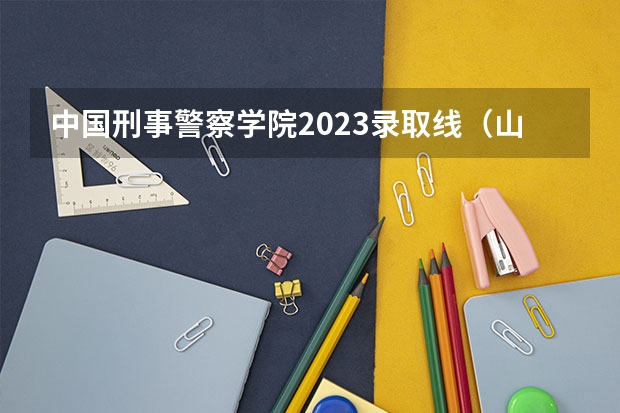 中国刑事警察学院2023录取线（山东警察学院分数线）