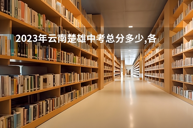 2023年云南楚雄中考总分多少,各科都是多少分?