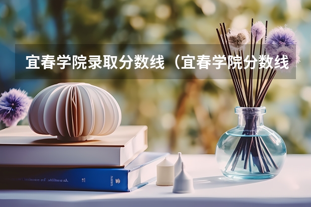 宜春学院录取分数线（宜春学院分数线）