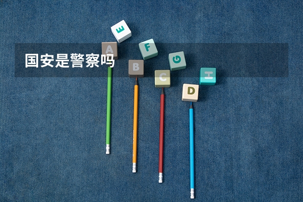 国安是警察吗