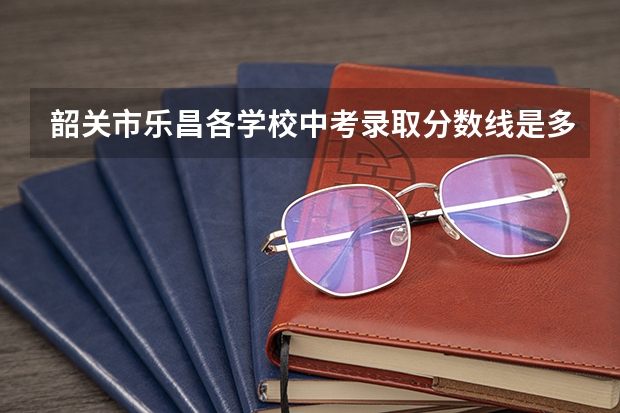 韶关市乐昌各学校中考录取分数线是多少