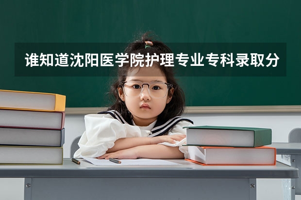谁知道沈阳医学院护理专业专科录取分数线是多少？350能考上么？