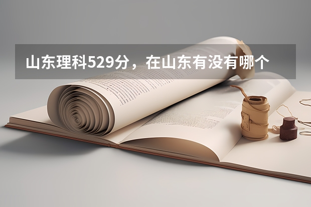 山东理科529分，在山东有没有哪个公办二本可以上啊，恩样。