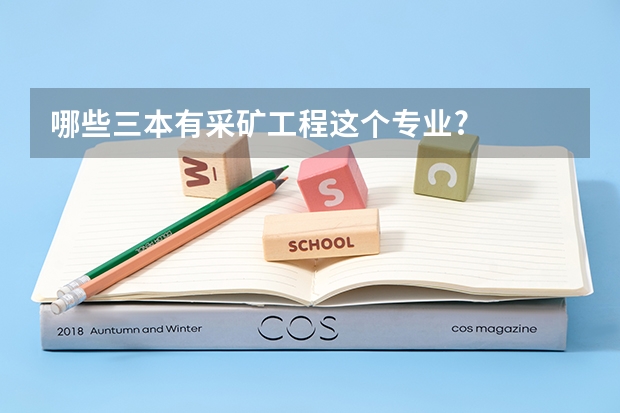 哪些三本有采矿工程这个专业?