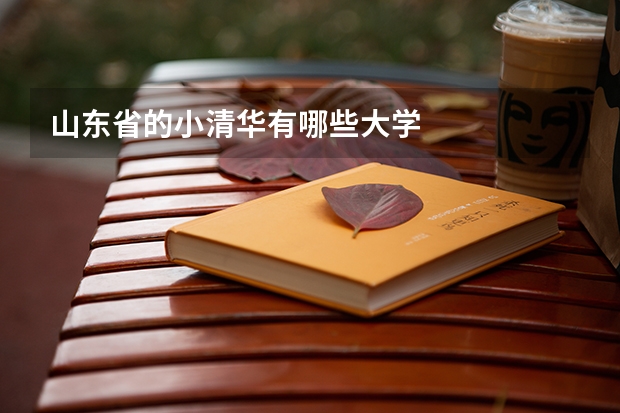 山东省的小清华有哪些大学
