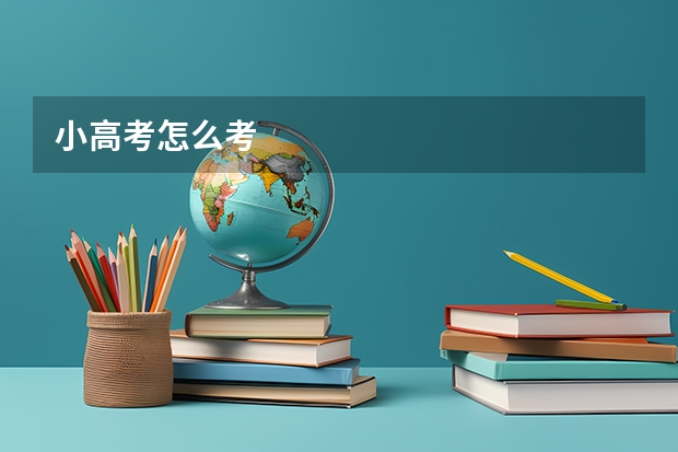 小高考怎么考