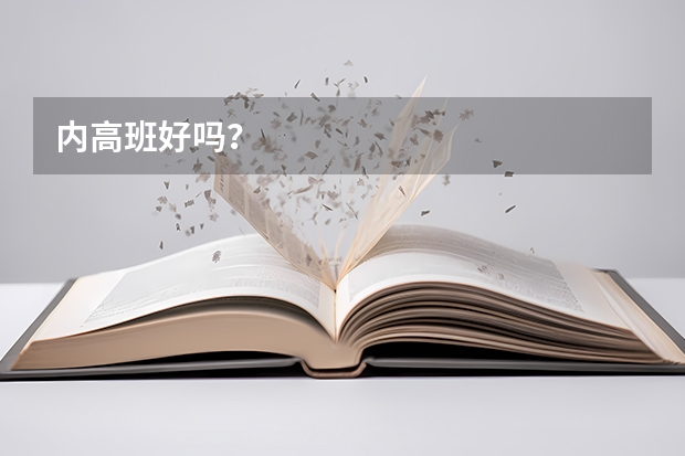 内高班好吗?