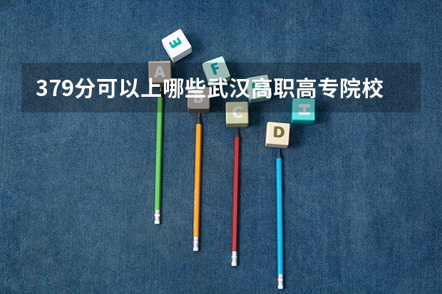 379分可以上哪些武汉高职高专院校?