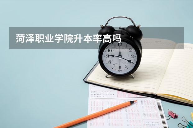 菏泽职业学院升本率高吗