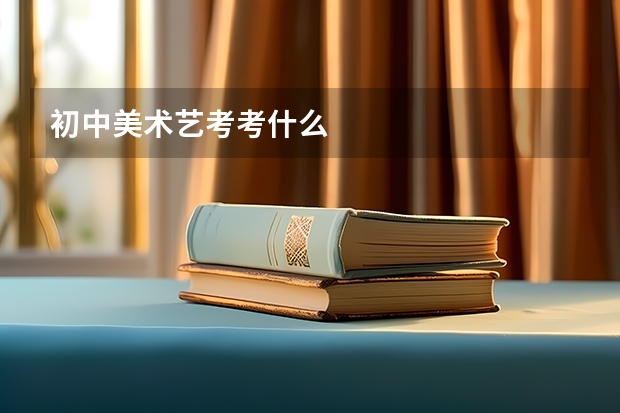 初中美术艺考考什么