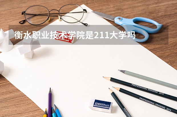 衡水职业技术学院是211大学吗
