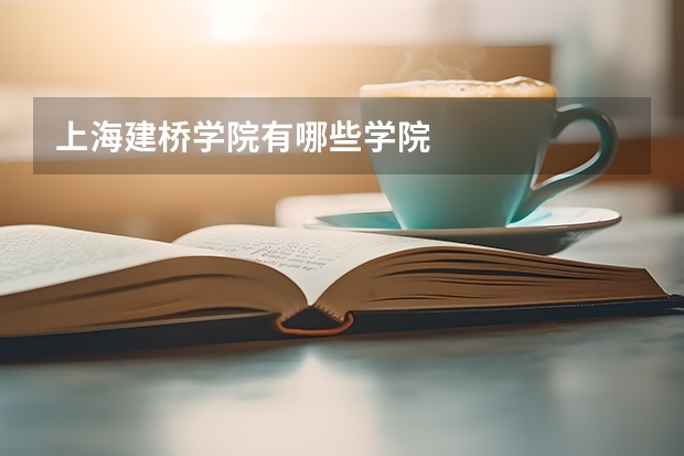 上海建桥学院有哪些学院