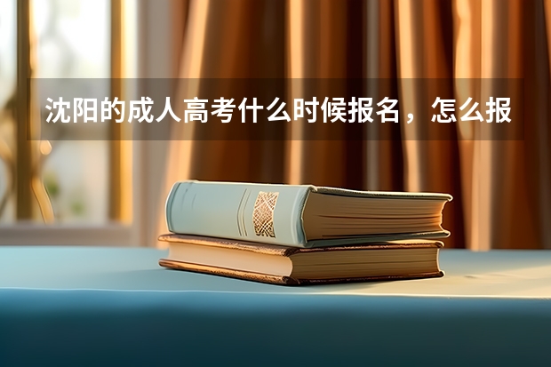 沈阳的成人高考什么时候报名，怎么报名啊，求解答，具体详细的流程