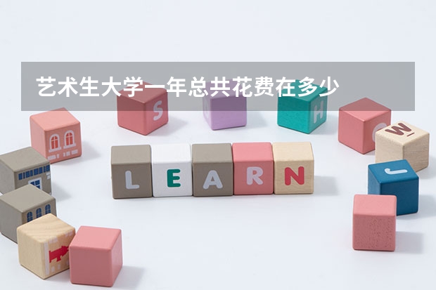 艺术生大学一年总共花费在多少
