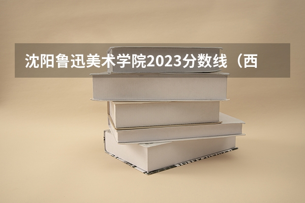 沈阳鲁迅美术学院2023分数线（西安美术学院录取分数线）