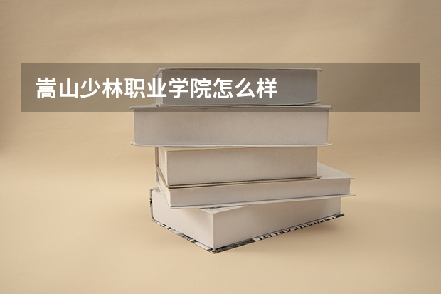 嵩山少林职业学院怎么样