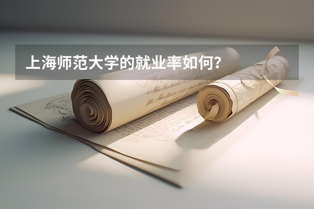 上海师范大学的就业率如何?