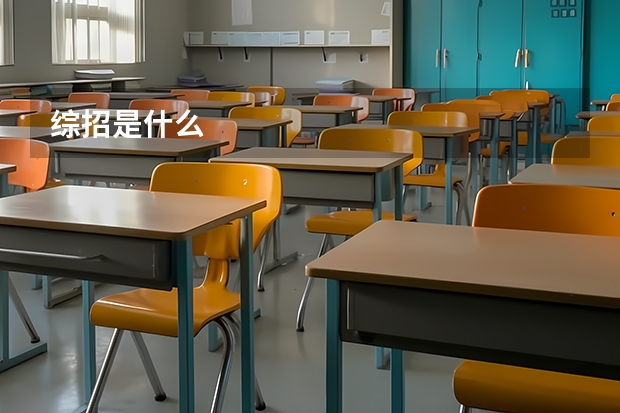 综招是什么