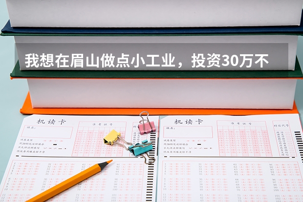 我想在眉山做点小工业，投资30万不知道现在有什么好点的项目没有，大家建议一下，谢谢