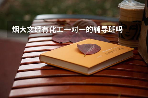 烟大文经有化工一对一的辅导班吗