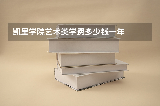 凯里学院艺术类学费多少钱一年