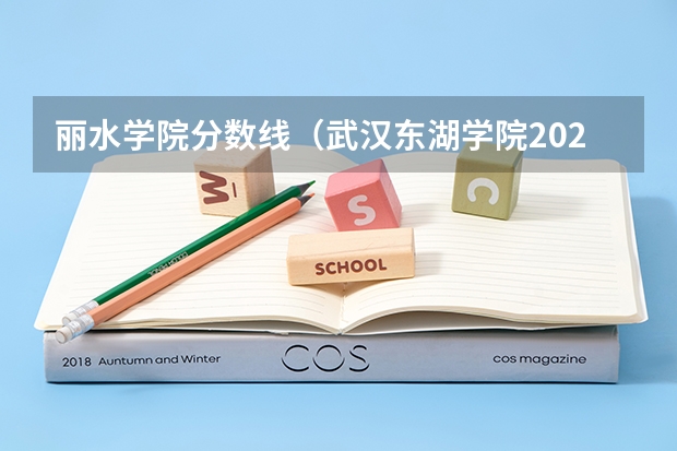 丽水学院分数线（武汉东湖学院2023专升本分数线）