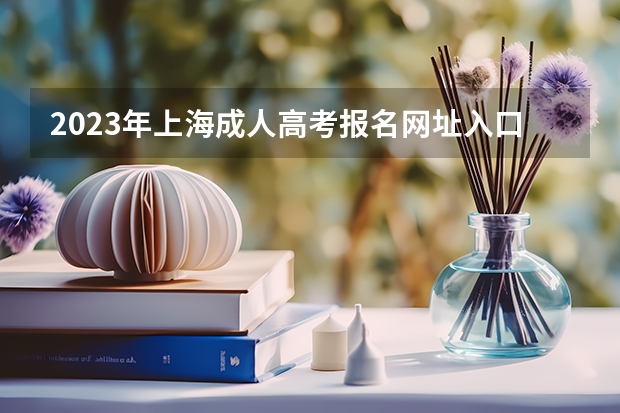 2023年上海成人高考报名网址入口？ 高考报名的网址