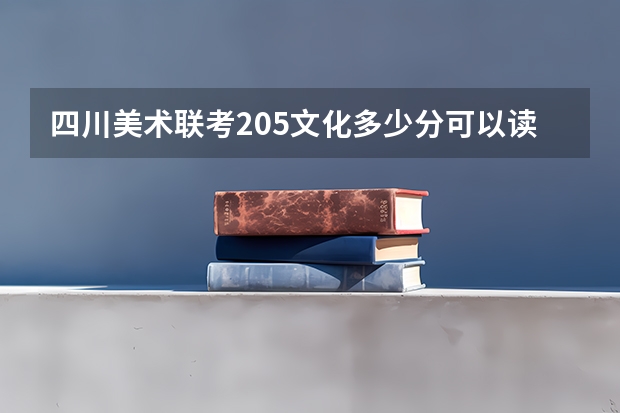 四川美术联考205文化多少分可以读公立大学