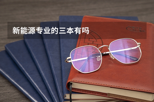 新能源专业的三本有吗