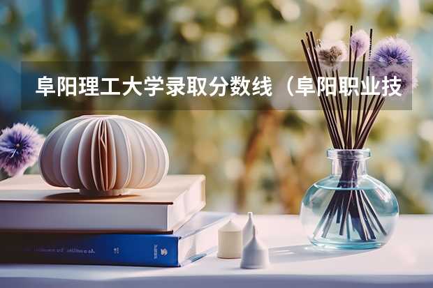阜阳理工大学录取分数线（阜阳职业技术学院录取分数线）